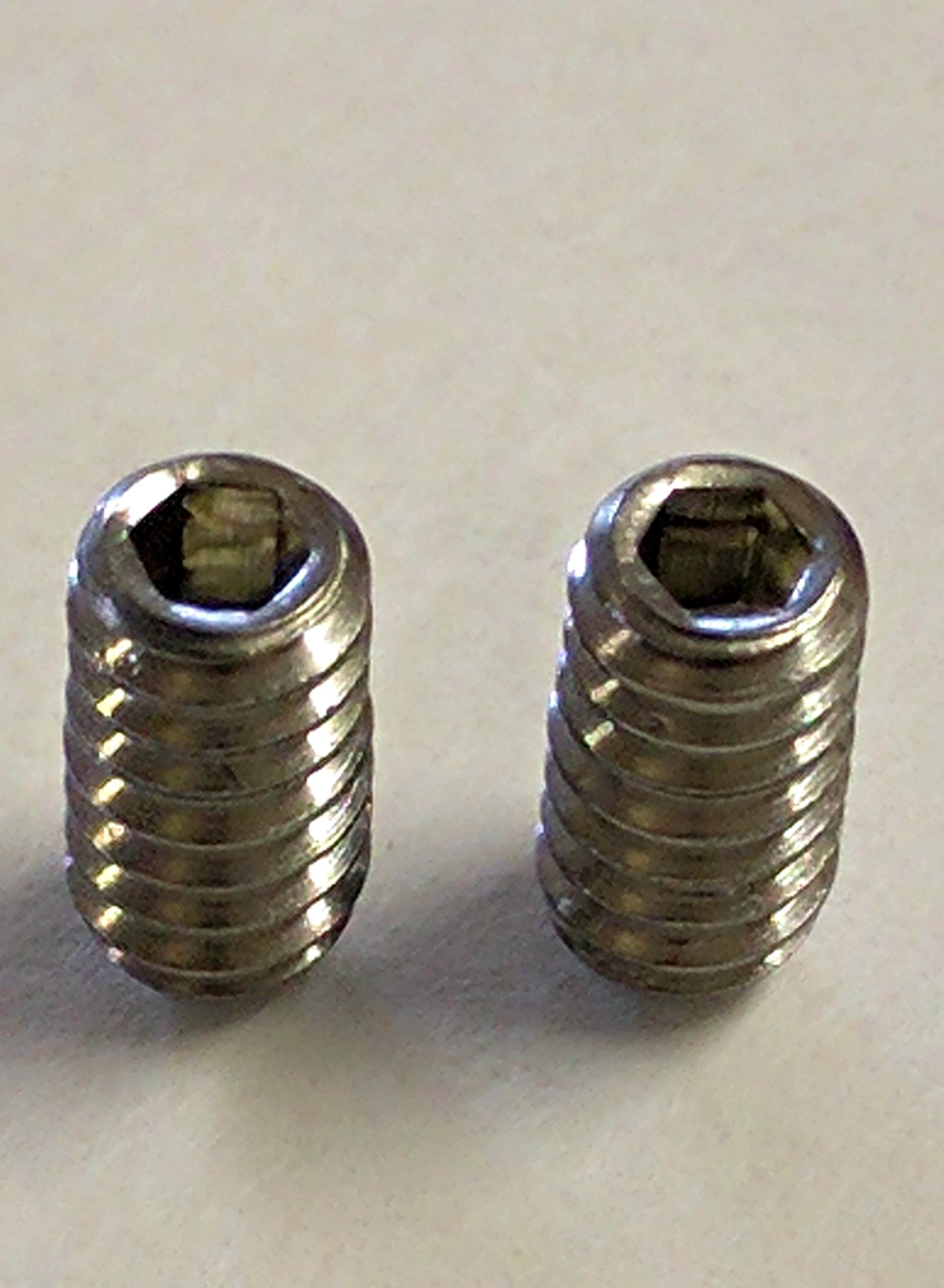 Stainless Steel Grub Screws FCS X 2